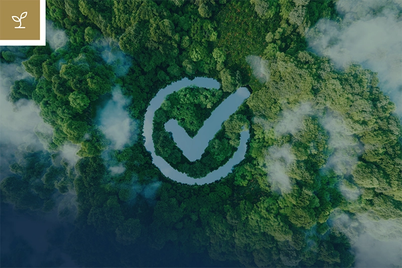 ISO 14001 - Umwelt und Nachhaltigkeit